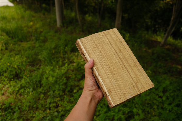 1760084981709691Etwx.jpg 4.jpg