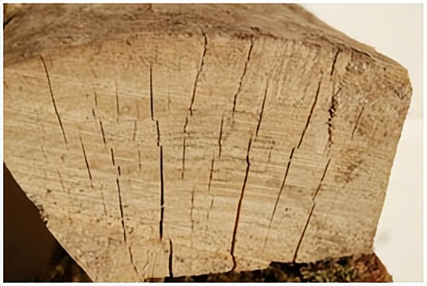 1760085007165687Un7i.jpg 6.jpg